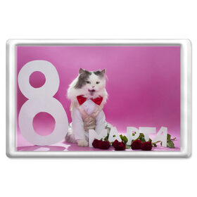Магнит 45*70 с принтом Милый кот поздравляет с 8 март в Курске, Пластик | Размер: 78*52 мм; Размер печати: 70*45 | 