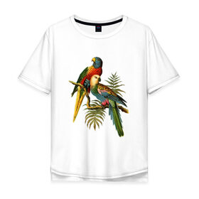Мужская футболка хлопок Oversize с принтом Попугаи в Курске, 100% хлопок | свободный крой, круглый ворот, “спинка” длиннее передней части | ветки | винтаж | листья | пальмы | перья | попугаи | птицы