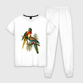 Женская пижама хлопок с принтом Попугаи в Курске, 100% хлопок | брюки и футболка прямого кроя, без карманов, на брюках мягкая резинка на поясе и по низу штанин | ветки | винтаж | листья | пальмы | перья | попугаи | птицы