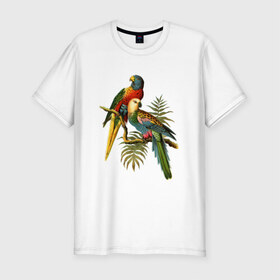 Мужская футболка хлопок Slim с принтом Попугаи в Курске, 92% хлопок, 8% лайкра | приталенный силуэт, круглый вырез ворота, длина до линии бедра, короткий рукав | ветки | винтаж | листья | пальмы | перья | попугаи | птицы