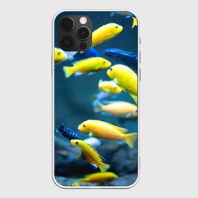 Чехол для iPhone 12 Pro Max с принтом Рыбки в Курске, Силикон |  | fish | fishes | pisces | море | морские обитатели | морской | океан | рыбы