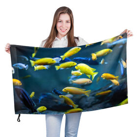Флаг 3D с принтом Рыбки в Курске, 100% полиэстер | плотность ткани — 95 г/м2, размер — 67 х 109 см. Принт наносится с одной стороны | fish | fishes | pisces | море | морские обитатели | морской | океан | рыбы