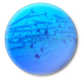 Значок с принтом Морская фауна в Курске,  металл | круглая форма, металлическая застежка в виде булавки | fish | fishes | pisces | море | морские обитатели | морской | океан | рыбы