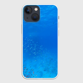 Чехол для iPhone 13 mini с принтом Море в Курске,  |  | fish | fishes | pisces | море | морские обитатели | морской | океан | рыбы