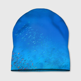 Шапка 3D с принтом Море в Курске, 100% полиэстер | универсальный размер, печать по всей поверхности изделия | fish | fishes | pisces | море | морские обитатели | морской | океан | рыбы