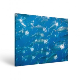Холст прямоугольный с принтом Рыбы океана в Курске, 100% ПВХ |  | Тематика изображения на принте: fish | fishes | pisces | море | морские обитатели | морской | океан | рыбы
