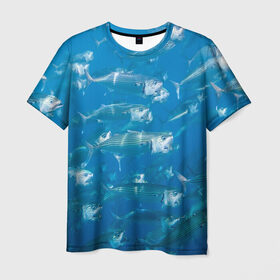 Мужская футболка 3D с принтом Рыбы океана в Курске, 100% полиэфир | прямой крой, круглый вырез горловины, длина до линии бедер | Тематика изображения на принте: fish | fishes | pisces | море | морские обитатели | морской | океан | рыбы