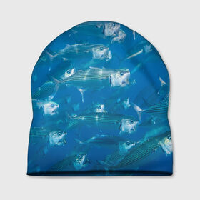 Шапка 3D с принтом Рыбы океана в Курске, 100% полиэстер | универсальный размер, печать по всей поверхности изделия | fish | fishes | pisces | море | морские обитатели | морской | океан | рыбы
