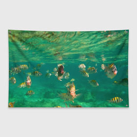 Флаг-баннер с принтом abyssal fishes в Курске, 100% полиэстер | размер 67 х 109 см, плотность ткани — 95 г/м2; по краям флага есть четыре люверса для крепления | fish | fishes | pisces | море | морские обитатели | морской | океан | рыбы
