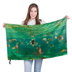 Флаг 3D с принтом abyssal fishes в Курске, 100% полиэстер | плотность ткани — 95 г/м2, размер — 67 х 109 см. Принт наносится с одной стороны | Тематика изображения на принте: fish | fishes | pisces | море | морские обитатели | морской | океан | рыбы