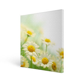 Холст квадратный с принтом Полевые ромашки в Курске, 100% ПВХ |  | луг | поле | цветы