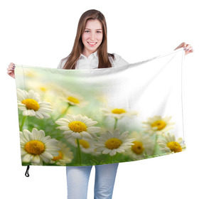 Флаг 3D с принтом Полевые ромашки в Курске, 100% полиэстер | плотность ткани — 95 г/м2, размер — 67 х 109 см. Принт наносится с одной стороны | луг | поле | цветы