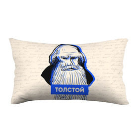 Подушка 3D антистресс с принтом Лев Толстой в Курске, наволочка — 100% полиэстер, наполнитель — вспененный полистирол | состоит из подушки и наволочки на молнии | 
