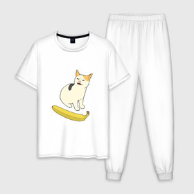 Мужская пижама хлопок с принтом Cat no banana в Курске, 100% хлопок | брюки и футболка прямого кроя, без карманов, на брюках мягкая резинка на поясе и по низу штанин
 | angry cat | banana | cat | no banana