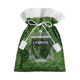 Подарочный 3D мешок с принтом Championship Liverpool в Курске, 100% полиэстер | Размер: 29*39 см | football | soccer | ливерпуль