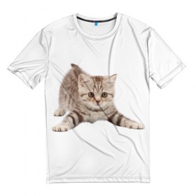 Мужская футболка 3D с принтом Самый милый котик в Курске, 100% полиэфир | прямой крой, круглый вырез горловины, длина до линии бедер | 