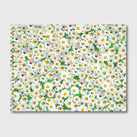 Альбом для рисования с принтом Ромашки в Курске, 100% бумага
 | матовая бумага, плотность 200 мг. | chamomile | daisies | flowers | nature | природа | растения | ромашки | текстура | цветы