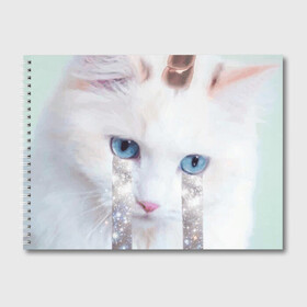 Альбом для рисования с принтом котик единорог в Курске, 100% бумага
 | матовая бумага, плотность 200 мг. | владивосток | единорожек | кот | пушистик | радуга | самара | свэг | слезки