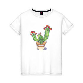 Женская футболка хлопок с принтом Кактус в Курске, 100% хлопок | прямой крой, круглый вырез горловины, длина до линии бедер, слегка спущенное плечо | горшок | растение | цветет | цветок