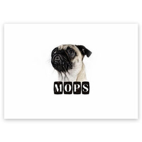 Поздравительная открытка с принтом Мопс в Курске, 100% бумага | плотность бумаги 280 г/м2, матовая, на обратной стороне линовка и место для марки
 | mops | животные | мопс | собака