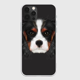 Чехол для iPhone 12 Pro Max с принтом Cavalier King Charles в Курске, Силикон |  | Тематика изображения на принте: голова | собака | спаниель