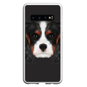 Чехол для Samsung Galaxy S10 с принтом Cavalier King Charles в Курске, Силикон | Область печати: задняя сторона чехла, без боковых панелей | Тематика изображения на принте: голова | собака | спаниель