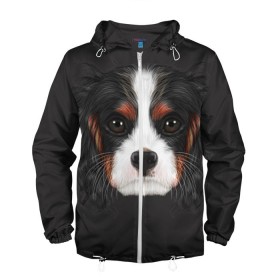 Мужская ветровка 3D с принтом Cavalier King Charles в Курске, 100% полиэстер | подол и капюшон оформлены резинкой с фиксаторами, два кармана без застежек по бокам, один потайной карман на груди | голова | собака | спаниель