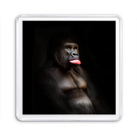 Магнит 55*55 с принтом Горилла в Курске, Пластик | Размер: 65*65 мм; Размер печати: 55*55 мм | Тематика изображения на принте: горилла | животные | обезьяна | прикол | природа | смешно | юмор | язык
