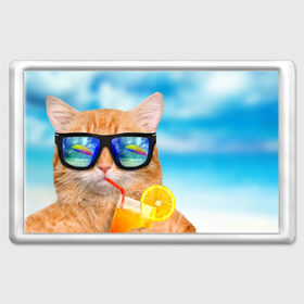 Магнит 45*70 с принтом Кот на пляже в Курске, Пластик | Размер: 78*52 мм; Размер печати: 70*45 | Тематика изображения на принте: summer | апельсиновый сок | кот | кот на пляже | коте | котик | котэ | котяра | лето | море | небо | отдых | очки | пляже
