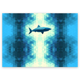 Поздравительная открытка с принтом Акула в Курске, 100% бумага | плотность бумаги 280 г/м2, матовая, на обратной стороне линовка и место для марки
 | Тематика изображения на принте: shark | водолаз | гарпун | глубина | дельфин | злость | зубы | кит | кровь | курорт | лето | море | океан | отдых | охота | плавник | пляж | риф | рыба | хищник | челюсти | челюсть