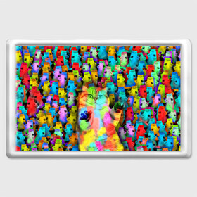 Магнит 45*70 с принтом Котики на дискотеке в Курске, Пластик | Размер: 78*52 мм; Размер печати: 70*45 | кошки | паттерн | психоделика | разноцветный | яркий