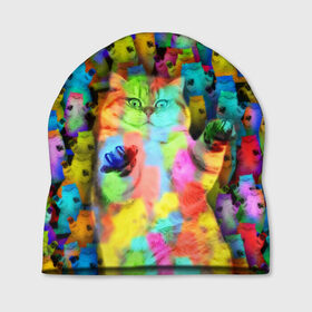 Шапка 3D с принтом Котики на дискотеке в Курске, 100% полиэстер | универсальный размер, печать по всей поверхности изделия | кошки | паттерн | психоделика | разноцветный | яркий