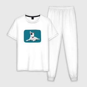 Мужская пижама хлопок с принтом Бультерьер в Курске, 100% хлопок | брюки и футболка прямого кроя, без карманов, на брюках мягкая резинка на поясе и по низу штанин
 | Тематика изображения на принте: 