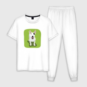 Мужская пижама хлопок с принтом Бультерьер в Курске, 100% хлопок | брюки и футболка прямого кроя, без карманов, на брюках мягкая резинка на поясе и по низу штанин
 | 