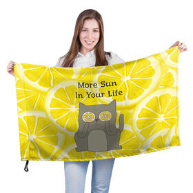 Флаг 3D с принтом More Sun In Your Life в Курске, 100% полиэстер | плотность ткани — 95 г/м2, размер — 67 х 109 см. Принт наносится с одной стороны | cat | kitty | lemon | lemonade | limon | pussycat | summer | жара | желтый | кот | котенок | котики | котэ | кошка | лемон | лемонад | лето | лимон | лимонад | позитив | серый | сок | солнце | сочный | фрукт | цитрус | черный | яркий