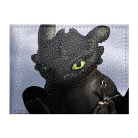 Обложка для студенческого билета с принтом как приручить дракона в Курске, натуральная кожа | Размер: 11*8 см; Печать на всей внешней стороне | how to train your dragon | беззубик | дракон | как приручить дракона | ночная фурия