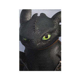 Обложка для паспорта матовая кожа с принтом как приручить дракона в Курске, натуральная матовая кожа | размер 19,3 х 13,7 см; прозрачные пластиковые крепления | Тематика изображения на принте: how to train your dragon | беззубик | дракон | как приручить дракона | ночная фурия