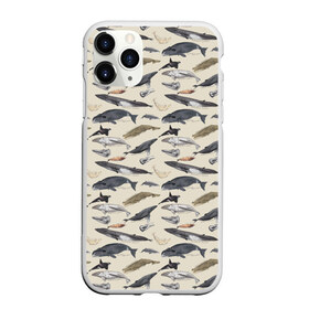 Чехол для iPhone 11 Pro матовый с принтом Whales pattern в Курске, Силикон |  | whale | акула | горбач | касатка | кашалот | кит | море | океан | рыбы | синий кит