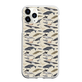 Чехол для iPhone 11 Pro Max матовый с принтом Whales pattern в Курске, Силикон |  | whale | акула | горбач | касатка | кашалот | кит | море | океан | рыбы | синий кит