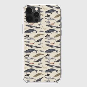 Чехол для iPhone 12 Pro Max с принтом Whales pattern в Курске, Силикон |  | Тематика изображения на принте: whale | акула | горбач | касатка | кашалот | кит | море | океан | рыбы | синий кит