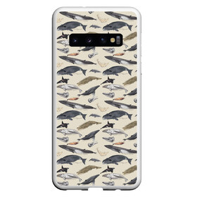 Чехол для Samsung Galaxy S10 с принтом Whales pattern в Курске, Силикон | Область печати: задняя сторона чехла, без боковых панелей | Тематика изображения на принте: whale | акула | горбач | касатка | кашалот | кит | море | океан | рыбы | синий кит