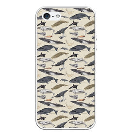 Чехол для iPhone 5/5S матовый с принтом Whales pattern в Курске, Силикон | Область печати: задняя сторона чехла, без боковых панелей | whale | акула | горбач | касатка | кашалот | кит | море | океан | рыбы | синий кит
