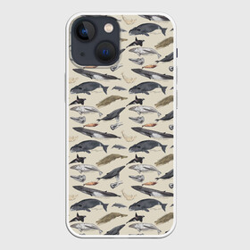 Чехол для iPhone 13 mini с принтом Whales pattern в Курске,  |  | whale | акула | горбач | касатка | кашалот | кит | море | океан | рыбы | синий кит