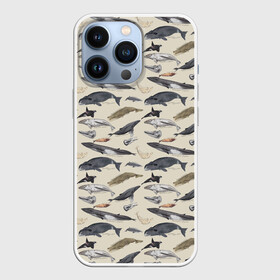 Чехол для iPhone 13 Pro с принтом Whales pattern в Курске,  |  | Тематика изображения на принте: whale | акула | горбач | касатка | кашалот | кит | море | океан | рыбы | синий кит