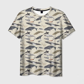 Мужская футболка 3D с принтом Whales pattern в Курске, 100% полиэфир | прямой крой, круглый вырез горловины, длина до линии бедер | whale | акула | горбач | касатка | кашалот | кит | море | океан | рыбы | синий кит