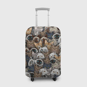 Чехол для чемодана 3D с принтом Коты разных пород в Курске, 86% полиэфир, 14% спандекс | двустороннее нанесение принта, прорези для ручек и колес | бенгальский | кот | котик | котики | кошка | мейн кун | паттерн | персидский | сиамский | сфинкс