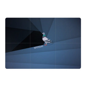 Магнитный плакат 3Х2 с принтом Голубь Наташа в Курске, Полимерный материал с магнитным слоем | 6 деталей размером 9*9 см | Тематика изображения на принте: natasha | голубь наташа | мемы