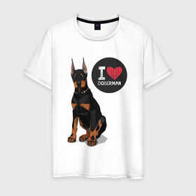 Мужская футболка хлопок с принтом Я люблю Добермана в Курске, 100% хлопок | прямой крой, круглый вырез горловины, длина до линии бедер, слегка спущенное плечо. | Тематика изображения на принте: доберман | с доберманом | собака | собаки | собачки | я люблю
