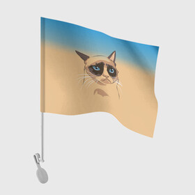 Флаг для автомобиля с принтом Grumpy cat ART в Курске, 100% полиэстер | Размер: 30*21 см | cat | grumpy | грустный кот | киса | кот | котэ | котяра | кошка | мем | сердитый кот