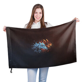 Флаг 3D с принтом Jakiro - Fire and Ice в Курске, 100% полиэстер | плотность ткани — 95 г/м2, размер — 67 х 109 см. Принт наносится с одной стороны | 